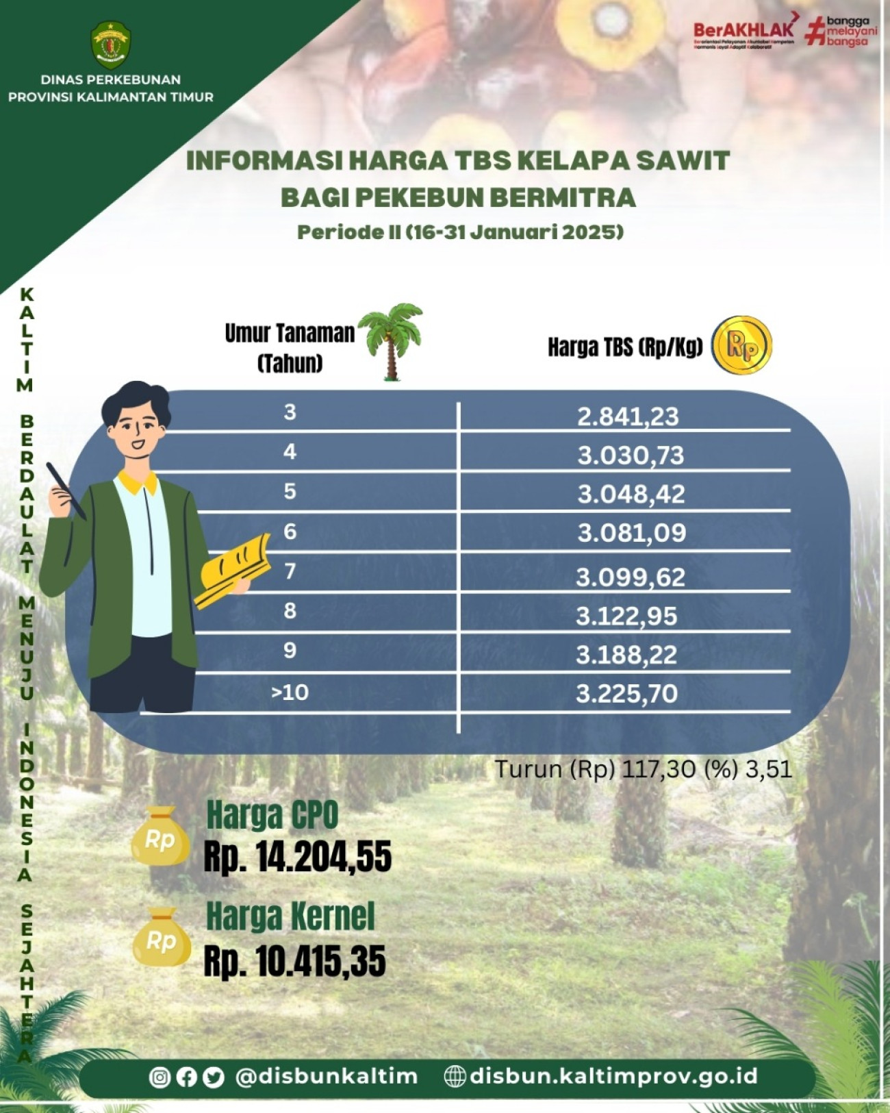 Informasi Harga TBS Kelapa Sawit bagi Pekebun Mitra Periode II Bulan Januari 2025