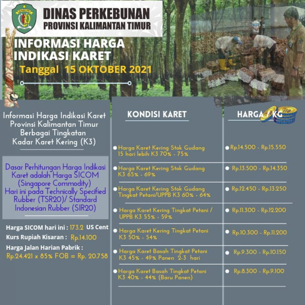 Informasi Harga Indikasi Karet Per 15 Oktober 2021