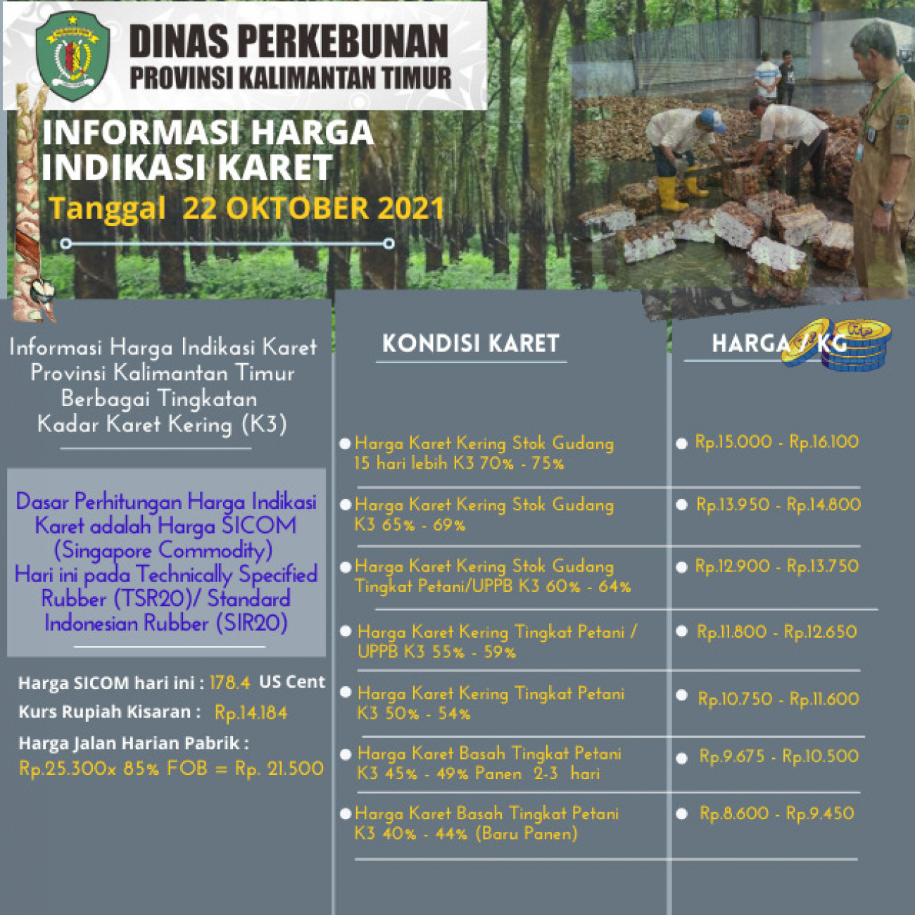 Informasi Harga Indikasi Karet Per 22 Oktober 2021