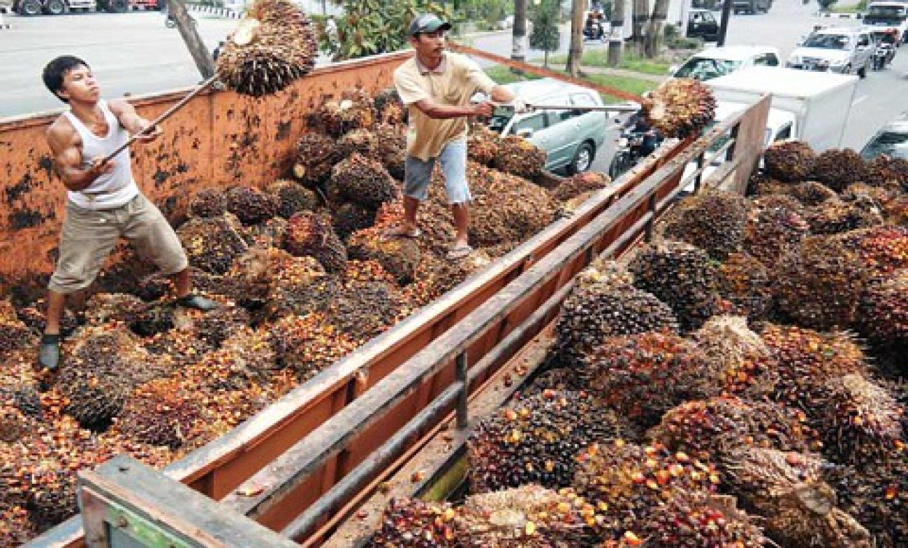 Andalkan Pasar Domestik, Bisa Kontrol Nilai Produk