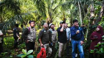 Aren Genjah Kutim Jadi Sorotan Nasional, Disbun Kaltim Dampingi Kunjungan Strategis Program Energi Bioetanol