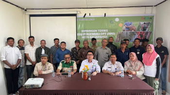 UPTD P2TP Bangun Tim Lapangan untuk Cegah Serangan OPT