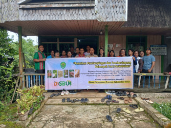 Petani Kakao Linggang Bigung Dilatih Keluar dari Pola Tradisional Menuju Perkebunan Modern