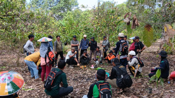 Sekolah Lapang Kakao di Kutim, Disbun Pacu Petani Jadi Ahli Budidaya Berkelanjutan