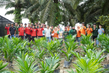 UPTD PBTP Disbun Kaltim Perbanyak 30.000 Benih Kelapa Sawit, Wujudkan Kemandirian Benih Lokal Kaltim
