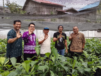 TIM TAGUPP PROVINSI KALTIM TINJAU POTENSI PENGEMBANGAN TANAMAN PERKEBUNAN DI UPTD PBTP DISBUN KALTIM
